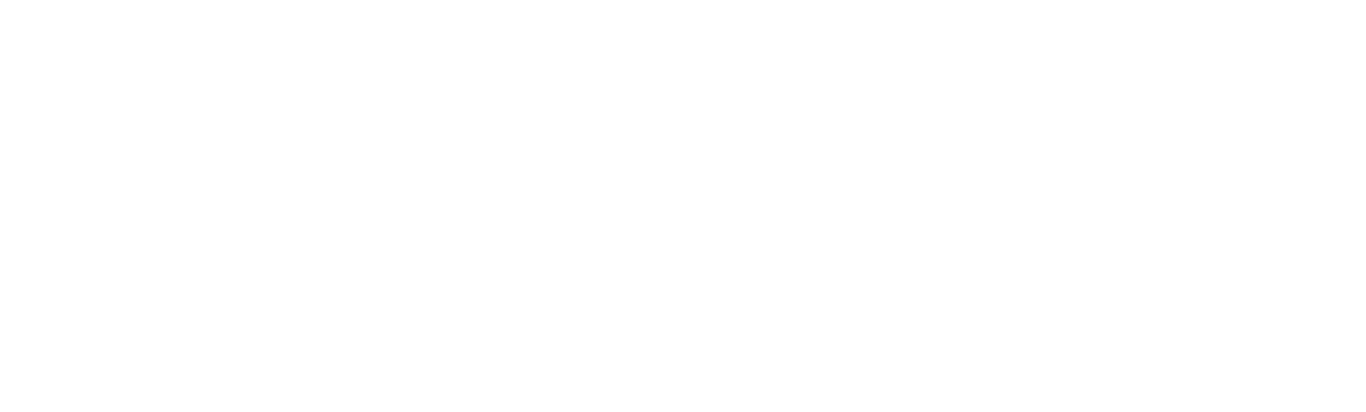 Netafim NL 1366x412 blue.png