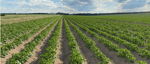 Akkerbouw & fruitteelt