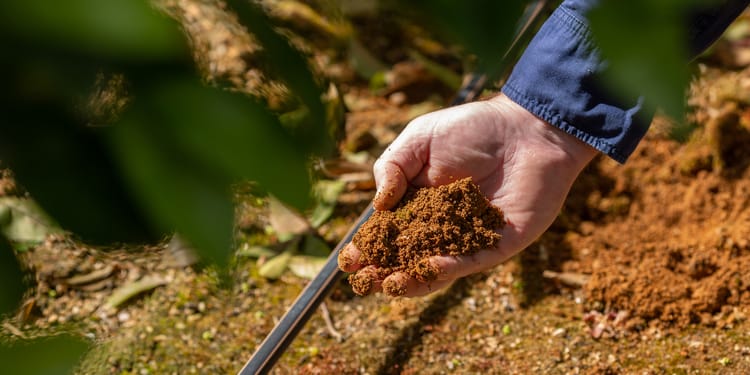 Fertigatie: hogere gewasopbrengst, minder verspilling