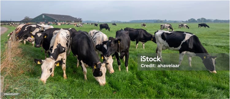 SDI-E™: Het eerste druppelirrigatiesysteem dat mest benut