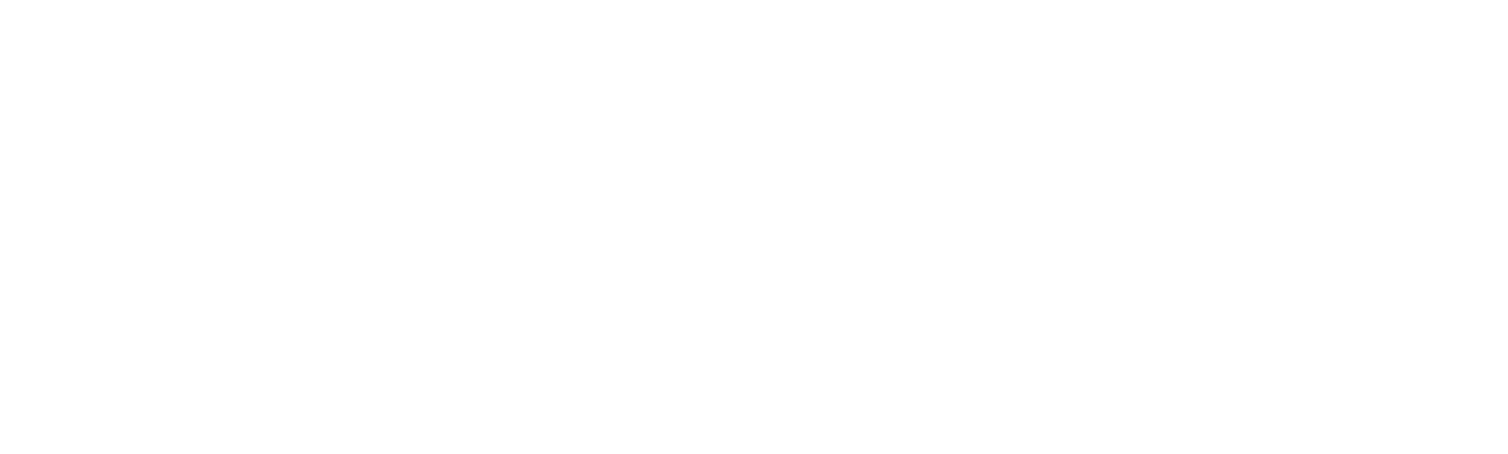 Netafim NL 1366x412 blue.png
